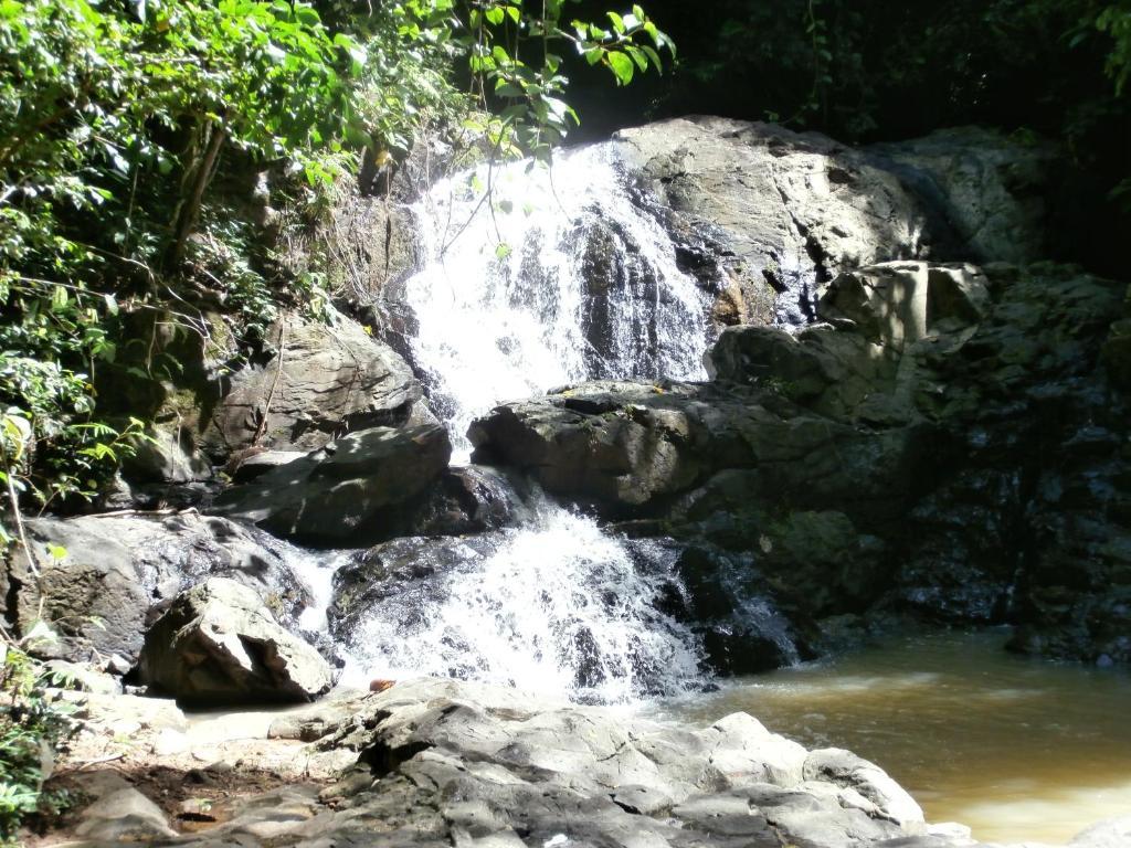 Fiji Palms Phuket Otel Dış mekan fotoğraf
