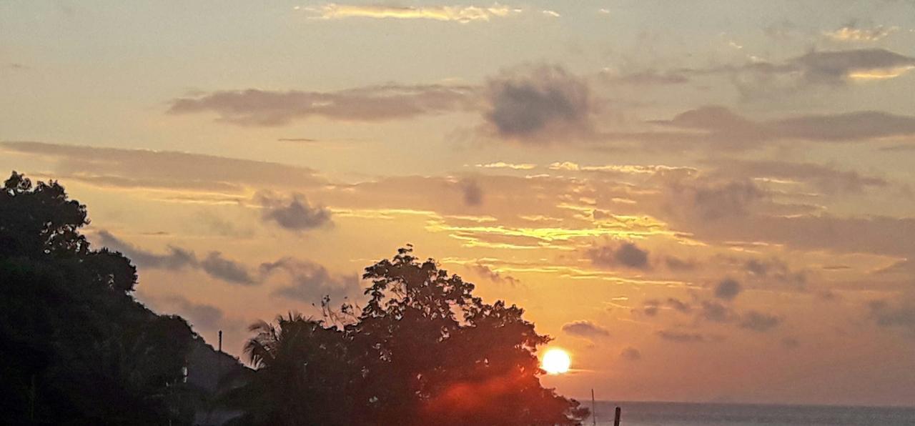 Fiji Palms Phuket Otel Dış mekan fotoğraf