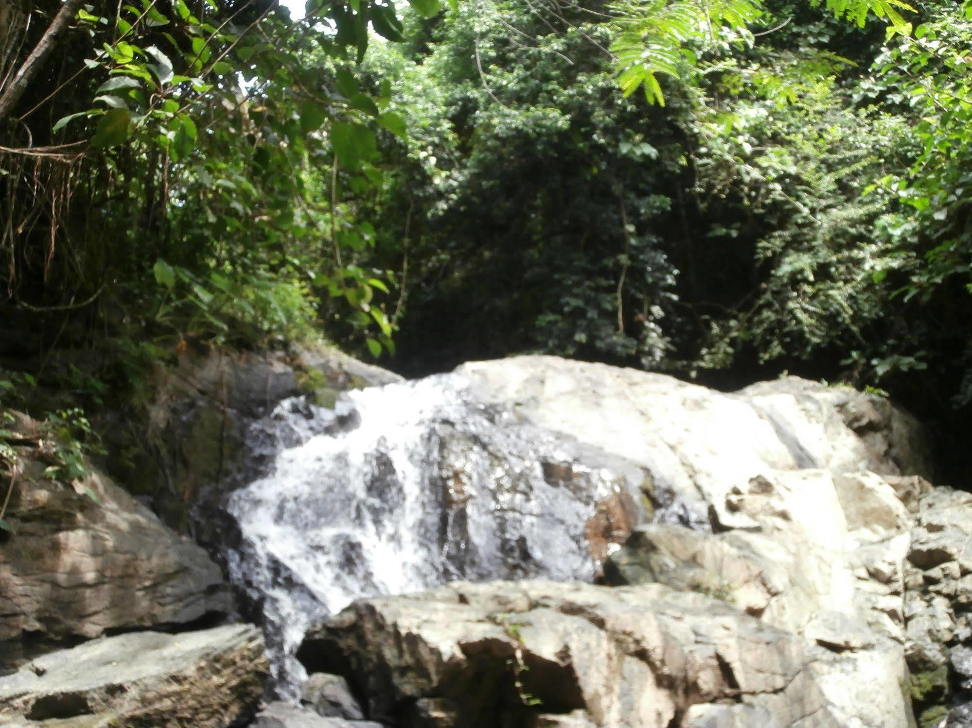 Fiji Palms Phuket Otel Dış mekan fotoğraf